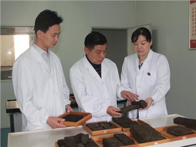 傳承茯茶非遺技藝、開(kāi)拓創(chuàng)新引領(lǐng)行業(yè)發(fā)展